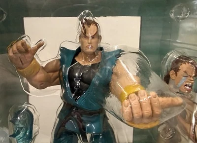 Figura SELLADA SOTA Toys Street Fighter Wizard Exclusiva Dan Hibiki Foto 1 de 4