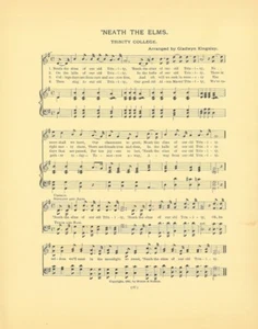 TRINITY COLLEGE Alma Mater Liederblatt um 1903 "'Neath the Ulms" Original Antik - Bild 1 von 1