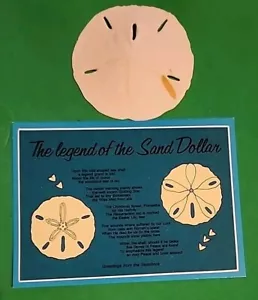 Vintage Legend of the Sand Dollar Postcard Unposted & 3 1/4" Sand Dollar. - Picture 1 of 9