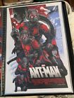 Ant Man Print 2016 By Alexander Iaccarino 87 Of 200 Produced 24X36 Like Mondo
