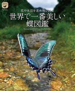 The Most Beautiful Photographs Of Butterflies By Kazuo Unno Picture Book Japan - Imagen 1 de 5
