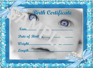 BLUE BABY BOY BIRTH CERTIFICATE/CERTIFICATES 4 REBORN FAKE BABY approx 7"x 5" - Picture 1 of 1