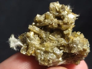 Clinozoisit Exemplar von Pershing Co, Nev 1"+ (17,5 g.) - Bild 1 von 5