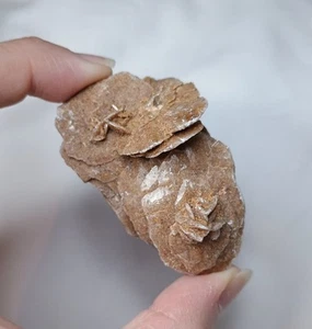 Beautiful Natural Baryte Desert Rose Mineral Crystal Cluster  - Picture 1 of 12