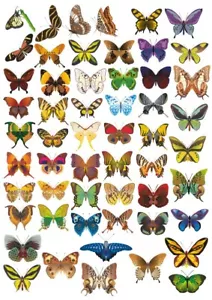 x55 Butterfly stickers Vinyl Waterproof 4 A5 sheets of different Butterflies - Picture 1 of 1