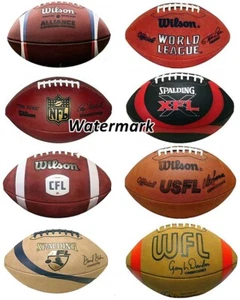 Imagen CFL NFL USFL WFL USFL AFL de 8 balones de fútbol diferentes 8 X 10 foto imagen - Imagen 1 de 1