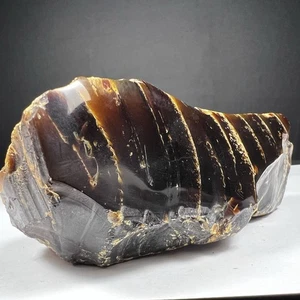 153 gr echter Bernstein Zebrastreifen grob teilpoliert Exemplar Indonesien - Bild 1 von 16