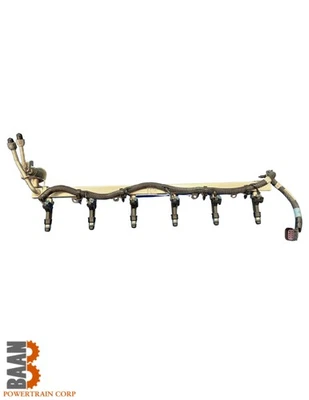 Inyectores de riel de combustible e combustible OEM para GMC Envoy 2002-2004 4,2 L 12569573 Foto 1 de 4