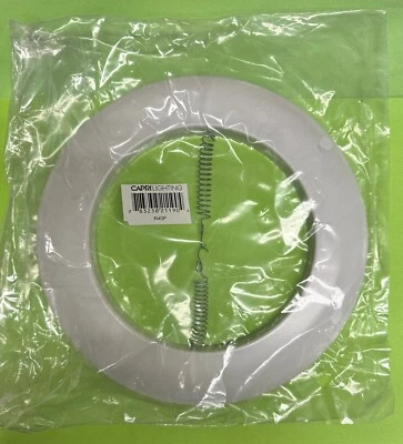 CAPRI LIGHTING R40P WHITE BAFFLE RECESSED 6" CAN OPEN TRIM LINE VOLTAGE - Image 1 of 3