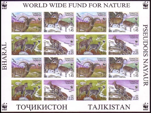 Tajikistan WWF Bharal Imperf Sheetlet of 4 sets 2005 MNH SG#282-285 Cover