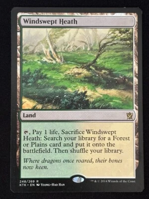 1x MTG Windswept Heath - Khans of Tarkir (KTK) #248 - Magic the Gathering - Image 1 of 2