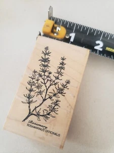1996 Stampington M4316 Sm. Rosemary rubber stamp - Picture 1 of 3