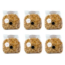6 x 500g Premium Sterilised Grain Spawn Bags w/ Filter Patch & Injection Port