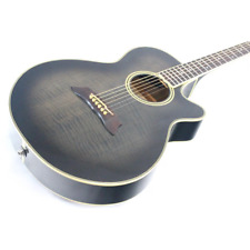 Takamine 1990 NTP110-6 gebrauchte E-Akustikgitarre MIJ mit Hartschale for sale
