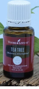Young Living Essential Oils ~ Tea Tree ~ 15ml - Picture 1 of 1