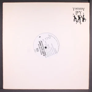 QUEEN LATIFAH: all hail the queen TOMMY BOY 12" LP 33 RPM - Picture 1 of 2