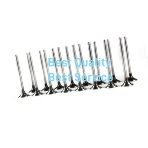 NEW EA111 Engine Intake & Exhaust Valve Kit Fit For VW Jetta 11-18 03C109601J - Picture 1 of 6