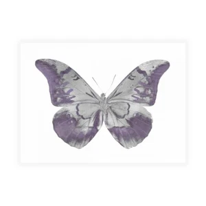 Stampa su Tela su Carta Poster o Quadro Bosco Julia Butterfly in Amethyst I - Imagen 1 de 2
