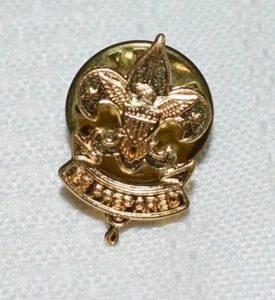 1/2 Inch Boy Scout Parents' Gold Tone Pin - Picture 1 of 4
