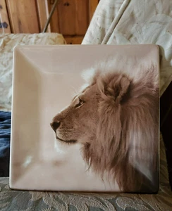 De colección Dario Farrucci León Safari Africano 8.5 Plato de Ensalada Cuadrado Foto de Perfil - Imagen 1 de 10