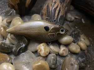 Custom painted lipless crankbait bass - Bild 1 von 4