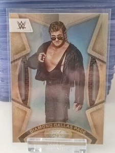Diamond Dallas Page Certified Bronze Panini WWE Chronicles 2023 - Bild 1 von 1