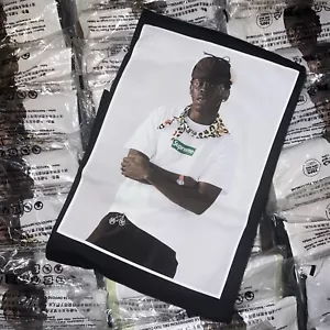 Supreme Tyler Creator Tee Pale Mint Size: Extra Large - Picture 1 of 4