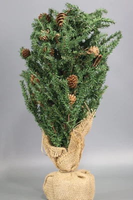 Vickerman 18  Carmel Pine Artificial Christmas Tree  Unlit - Image 1 of 4