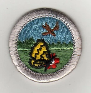 Retired - Nature (Silver Brd) Merit Badge Typ H, Plastic Back (1972-02) Mint - Picture 1 of 1