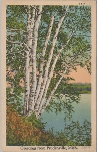 1934 Grüße aus Prudenville Michigan Bäume Leinen Postkarte F79 - Bild 1 von 2