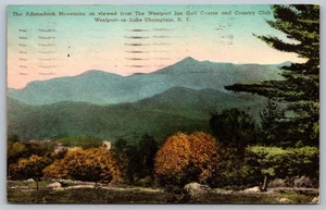 Postcard Hand Colored Adirondack Mtns From Westport Inn Ny 1910s Antique M13 - Picture 1 of 2