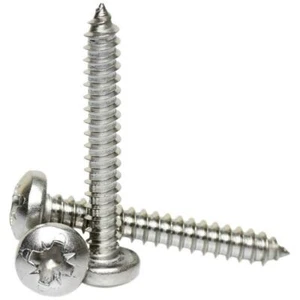 No.12 / 5.5mm A2 CABEZA POZI PAN DE ACERO INOXIDABLE TORNILLOS DE GOLPETEO AUTO - Imagen 1 de 1