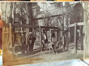 VINTAGE DEER IN A CAGES AT A BARN PHOTO - Picture 1 of 3