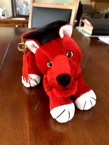 K-12 Maskottchen Plüsch ABSCHLUSS PANTHER Sammlerstück, 10 Zoll, PVC-Pellets, Vintage - Bild 1 von 10