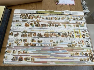CHRONOLOGICAL CHART OF BRITISH HISTORY RARE ISSUE 1980  1120 X 840mm      - Bild 1 von 10