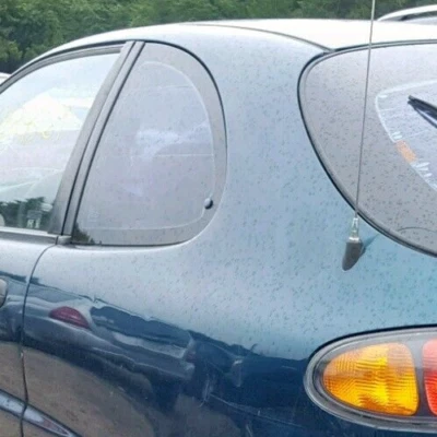 Daewoo Lanos 2 Dr H/B : 1998, 1999, 2000, 2001, 2002, Left Rear Quarter Glass - Image 1 of 4