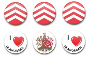 25 MM 1 ZOLL KNOPFABZEICHEN GLAMORGAN X6 - Bild 1 von 1