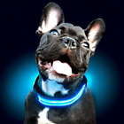 Ultimate LED Dog Collar – USB Rechargeable, Cable Included, 5 Awesome Colors. Ul