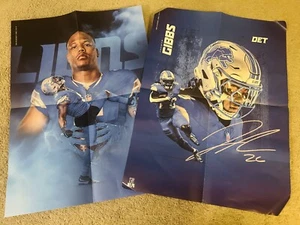 JAHMYR GIBBS (Sonic) & DAVID MONTGOMERY (Knuckles) Posters From Detroit Lions - Picture 1 of 6