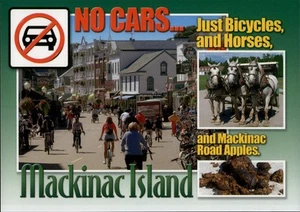 Mackinac Island,MI No cars, Just Bicycles & Horses, & Road Apples Humor Michigan - Picture 1 of 2