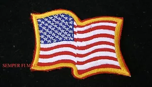 US FLAG USA WAVING BADGE AUTHENTIC COLLECTOR AMERICA PATCH PATRIOTIC - Foto 1 di 1