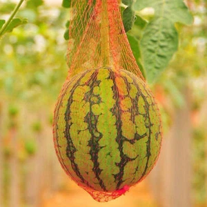 100 Pieces WaterHammock 13.8inch Melon Cradles Fruits Support Mesh Net - Picture 1 of 16
