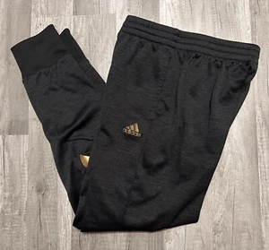 Adidas Boys Dark Grey Pants Size Large (14/16) Gold Logo - Picture 1 of 14