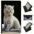 Cute Adorable Kittens Causing Mayhem Universal Leather Case For Acer Tablets