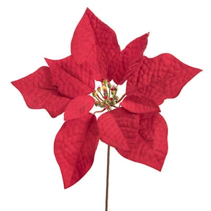 Weihnachtsstern Pick rot, 7,5 Zoll - Bild 1 von 1