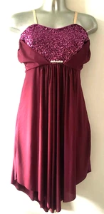 Mujer Adulto Extra Grande Granate Brillante Vestido Leotardo Disfraz CORTINA LLAMAR NUEVO SIN ETIQUETAS - Imagen 1 de 14