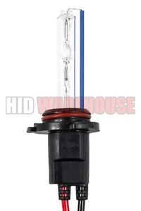 HID-Warehouse HID Xenon Replacement Bulbs H10 10K 30K 43K 3K 5K 6K 8K (1 pair) - Picture 1 of 7