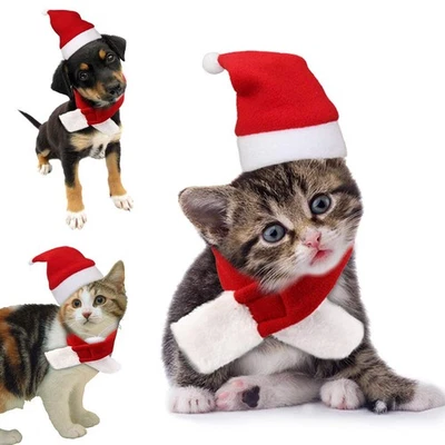 Cat Christmas Costume Santa Hat with Scarf Gift for Cute Pet Cats Small Dogs - Image 1 of 4