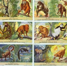 LIEBIG - S_1604 :DE APEN 2