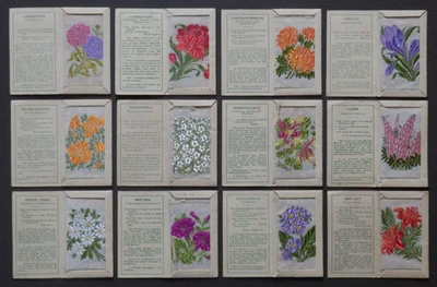 Kensitas Silk Flowers 1st Series Small x12 All Plain Backs - Image 1 of 4